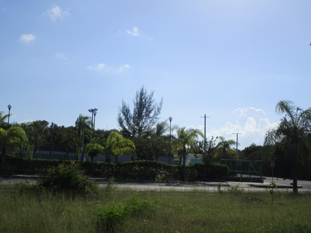 image-0
