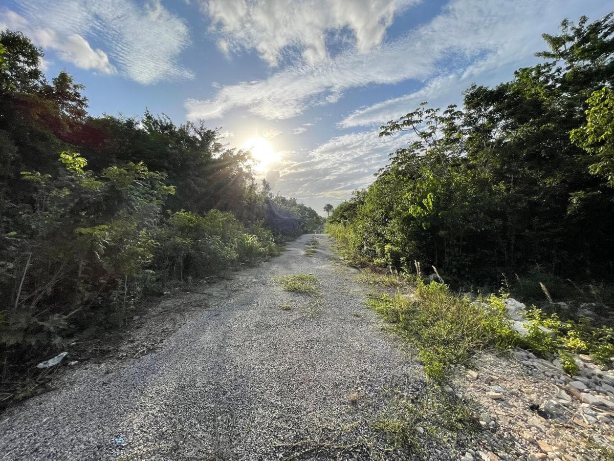 image-2
