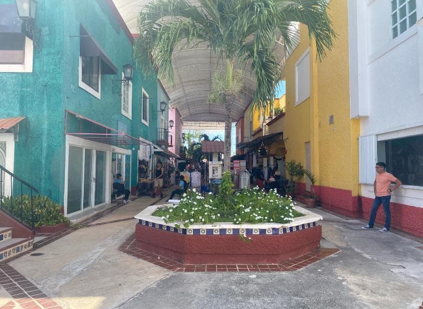 image-3
