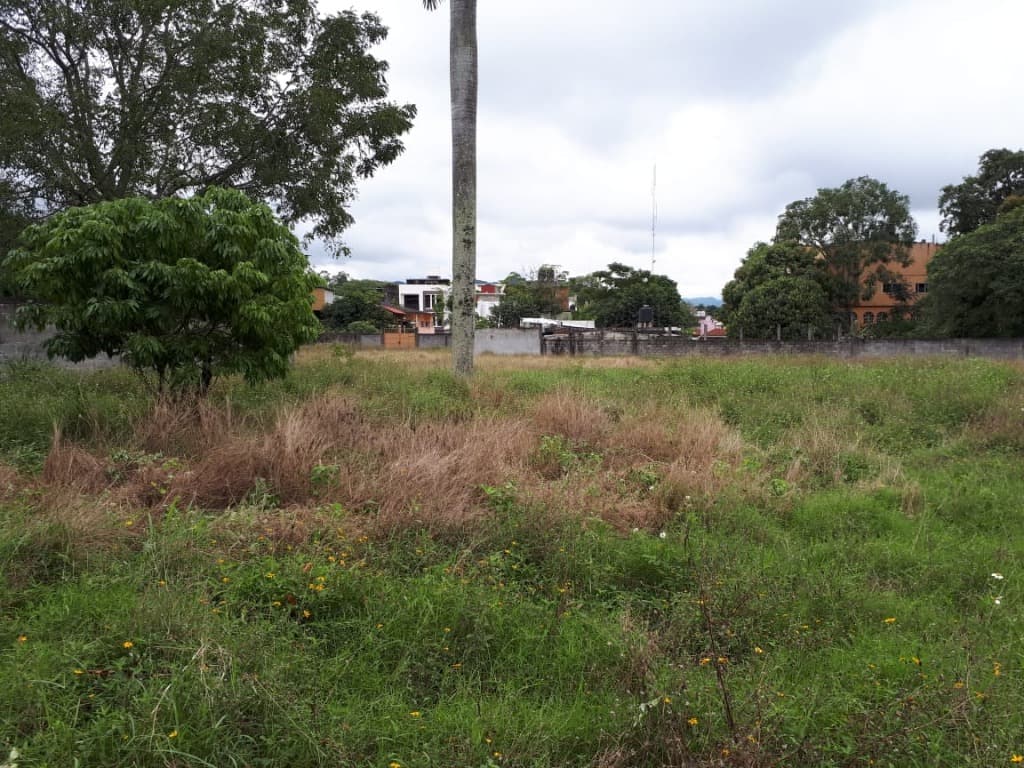 image-3