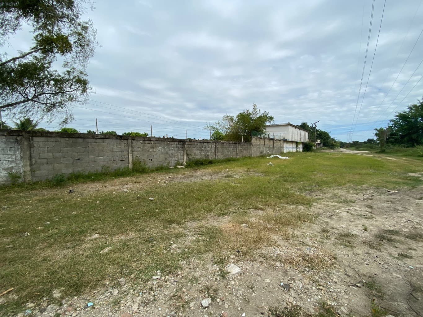 image-1