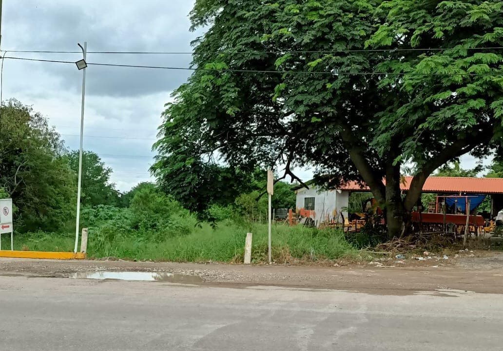 image-0