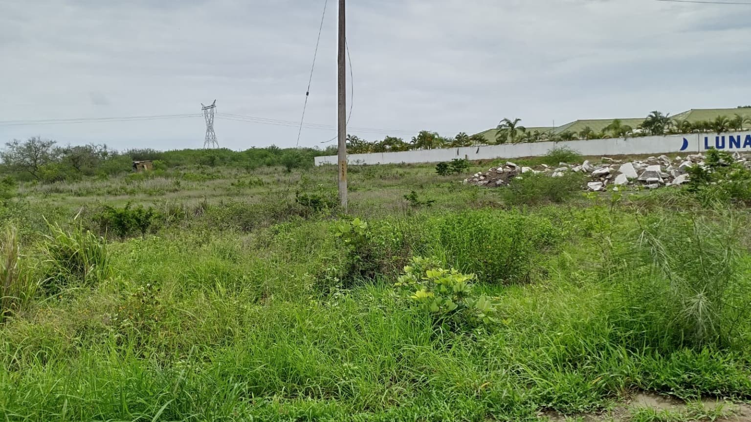 image-3