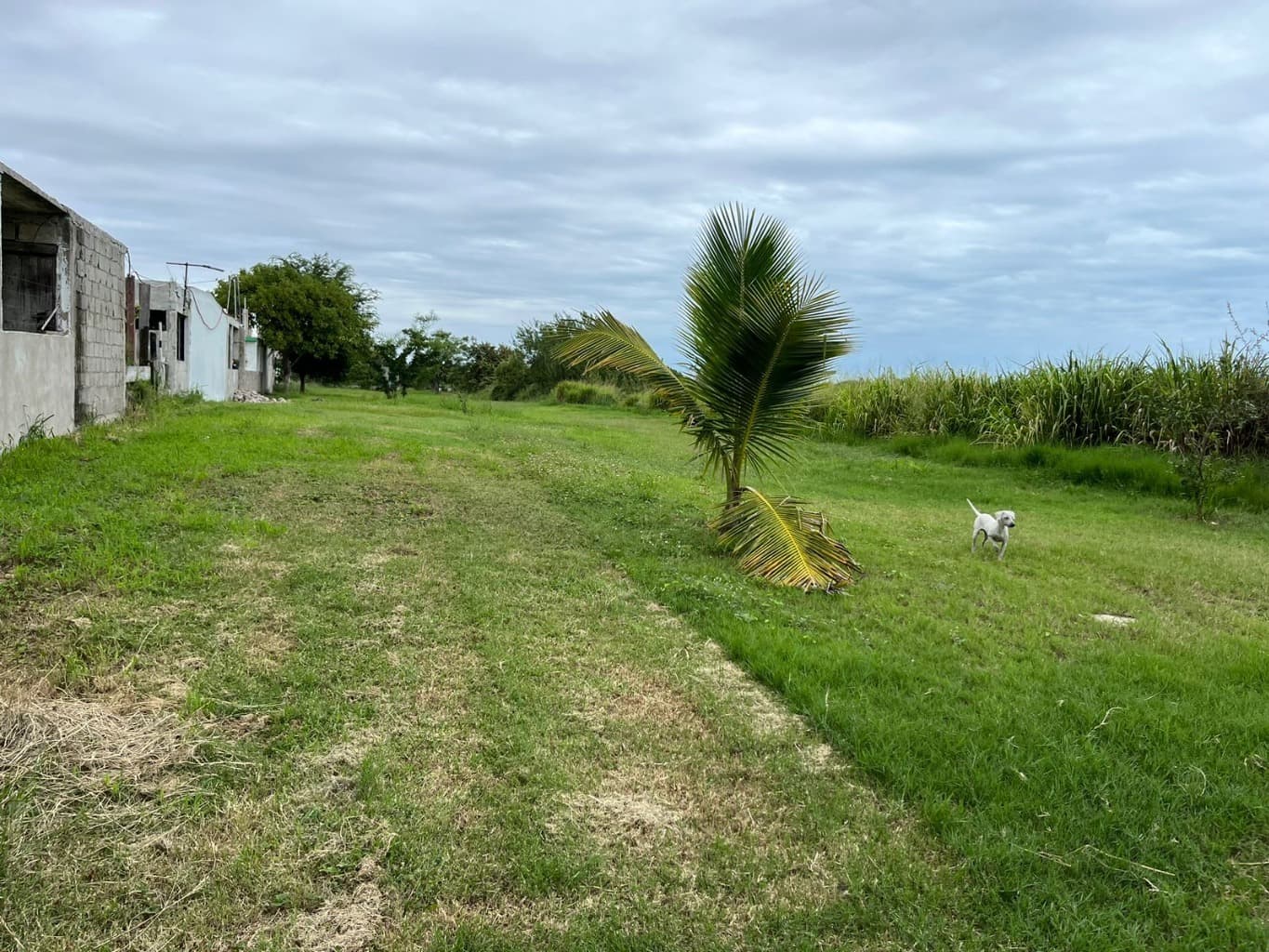 image-1