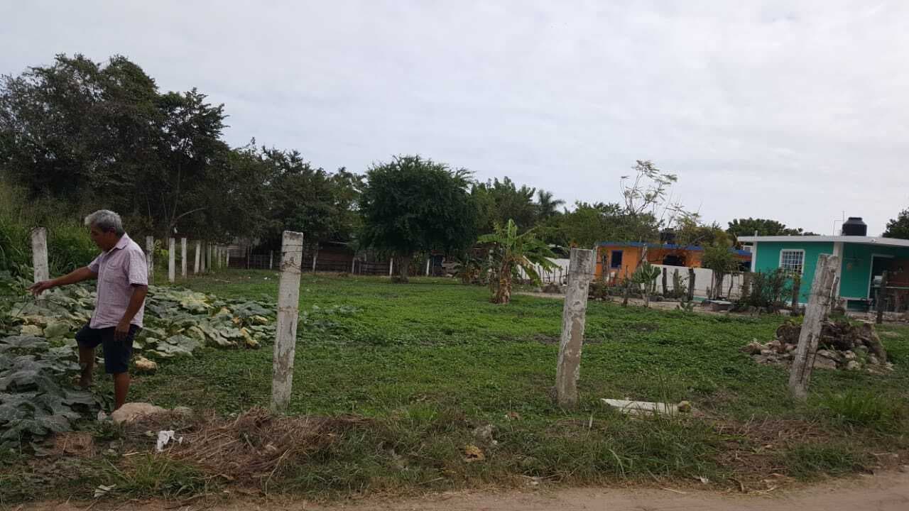 image-0