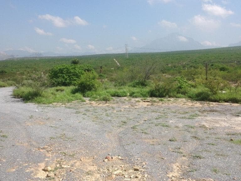 image-5