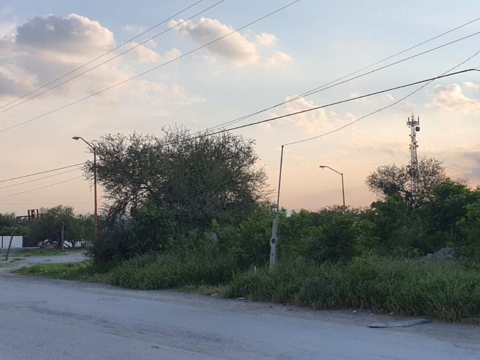 image-0