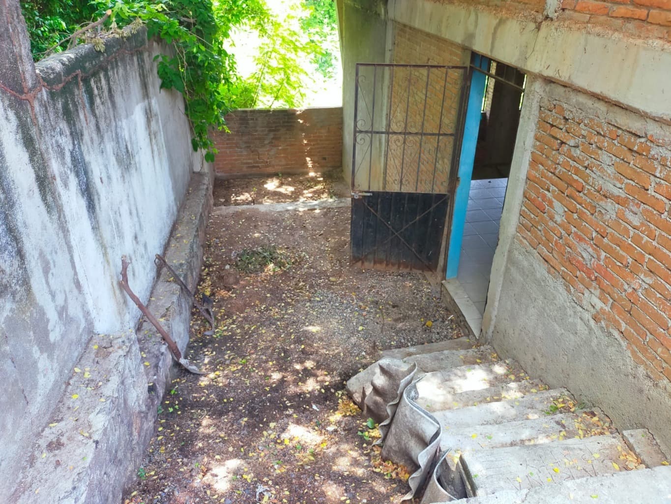 image-6