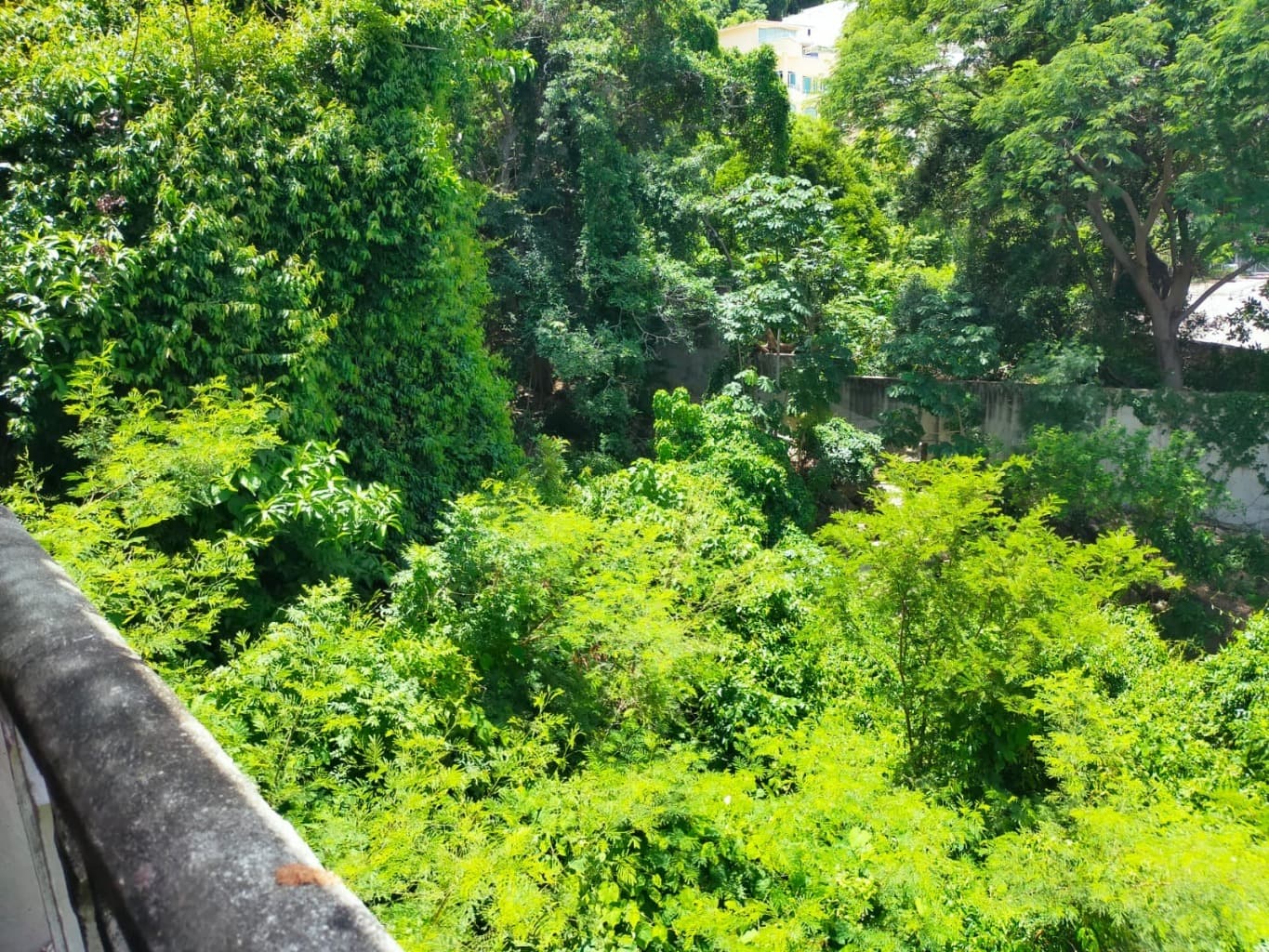 image-10
