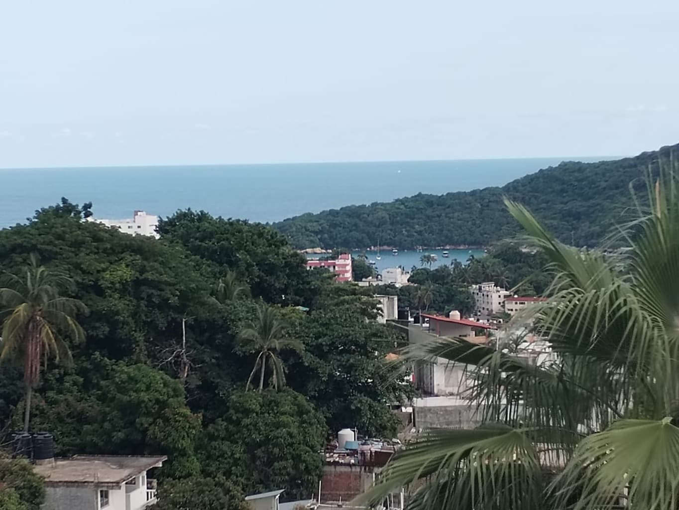 image-8