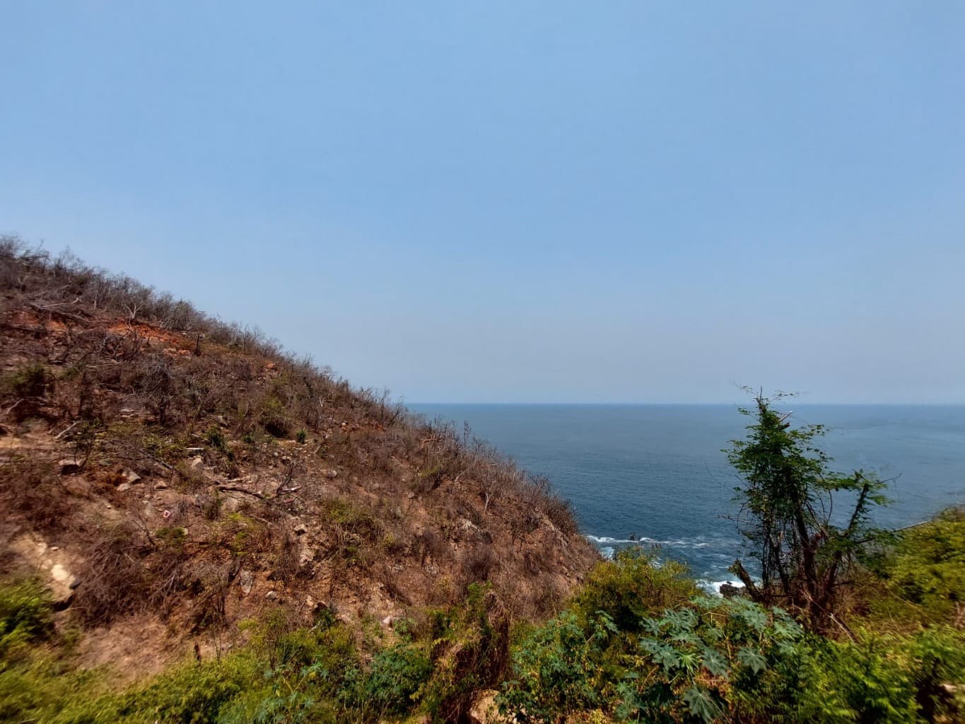 image-2