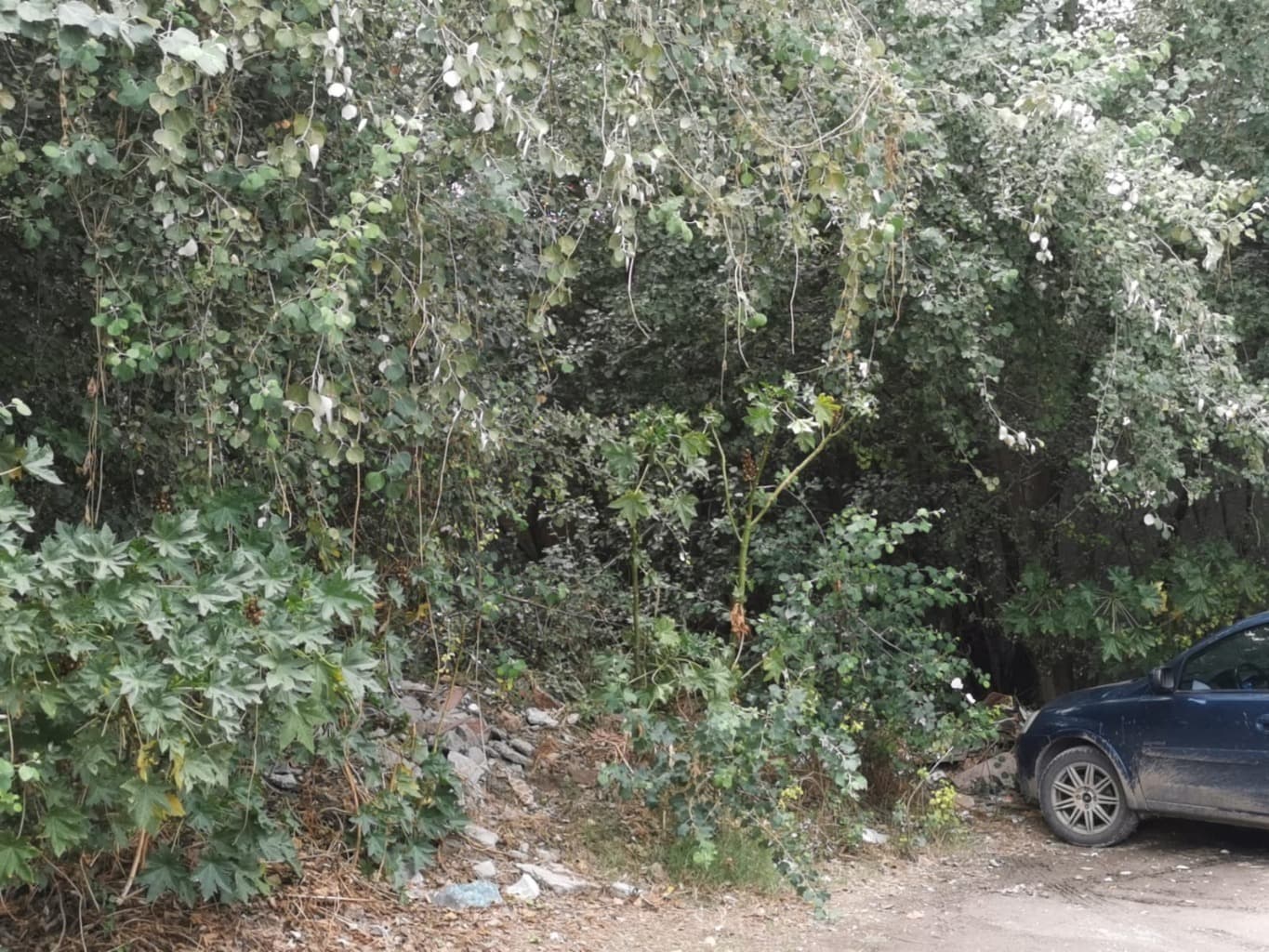 image-6
