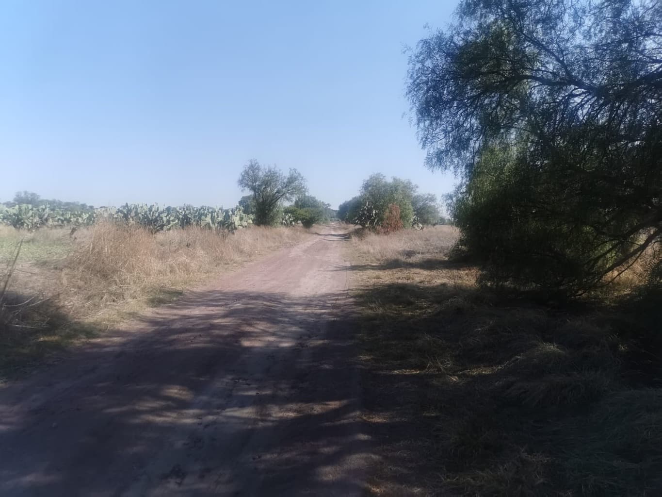 image-0