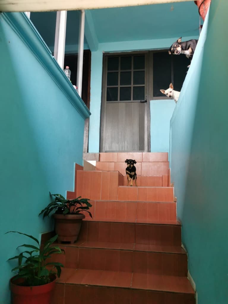 image-3