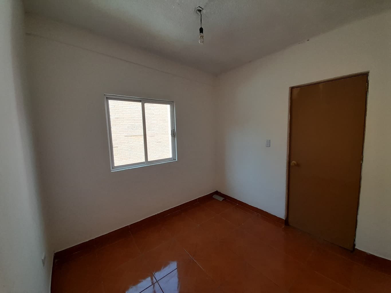 image-19