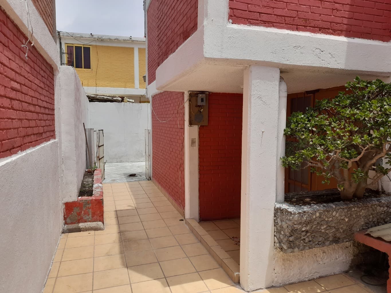 image-2