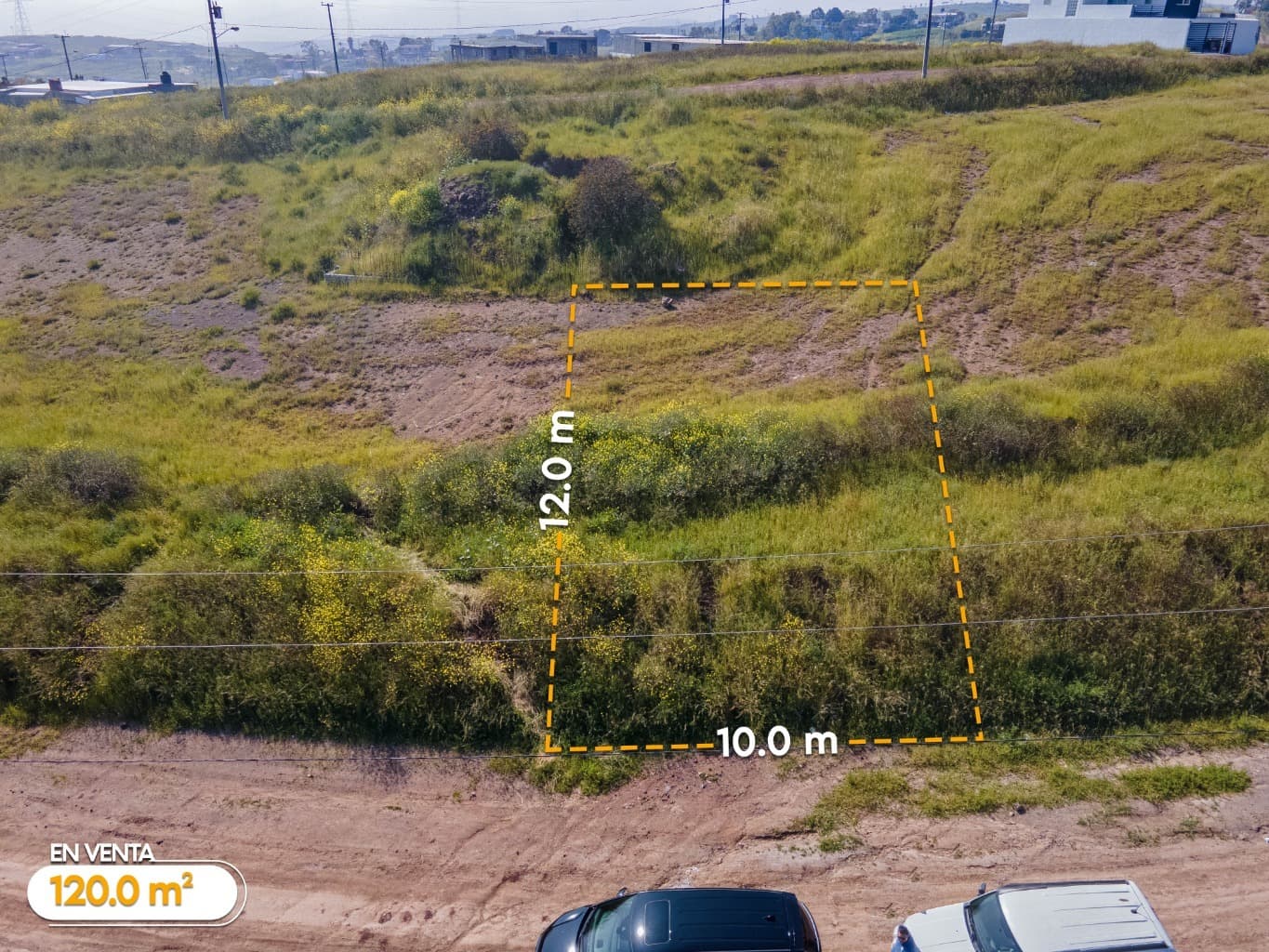 image-0