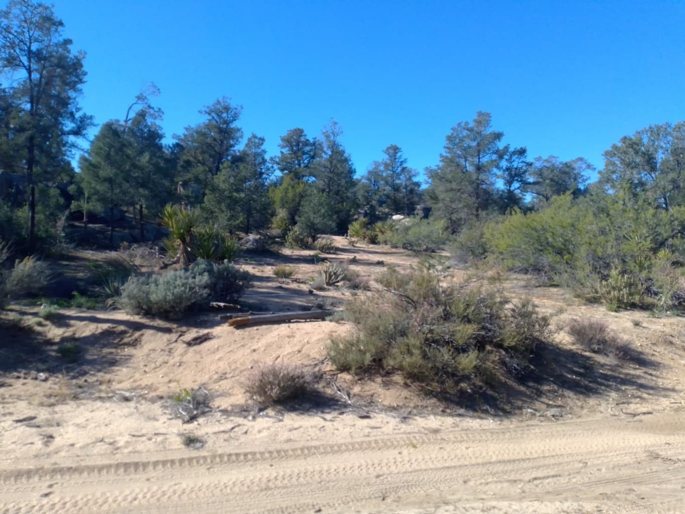 image-2