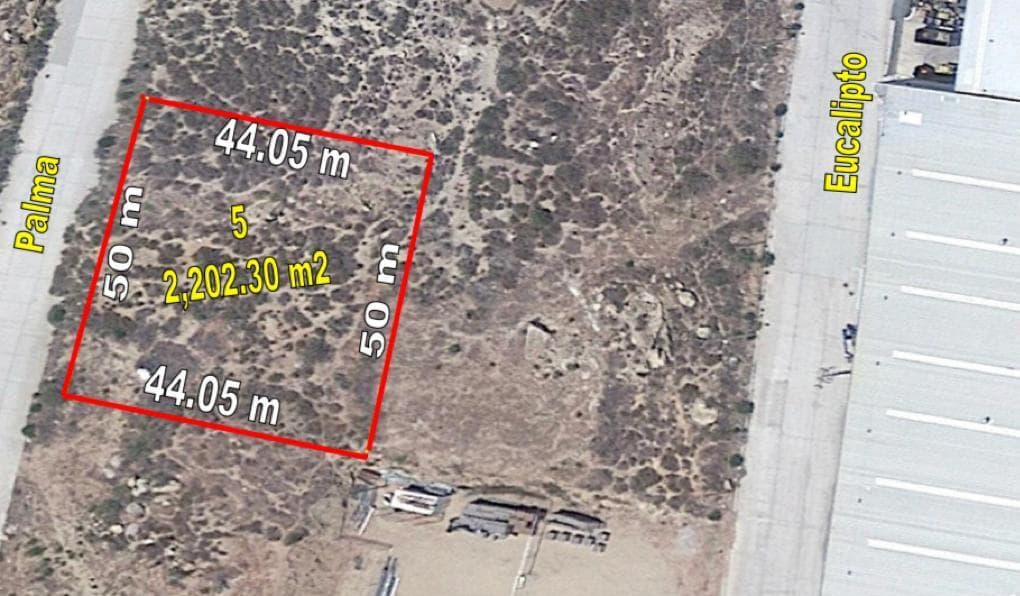 image-4