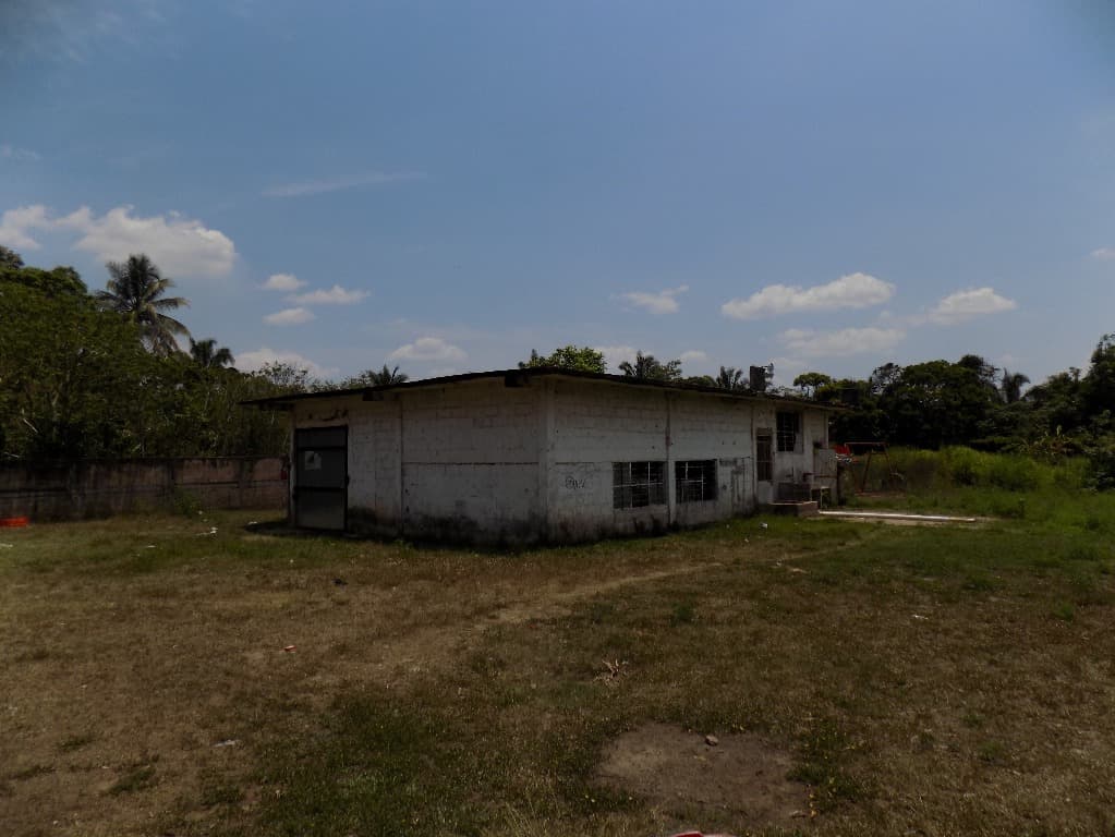 image-4