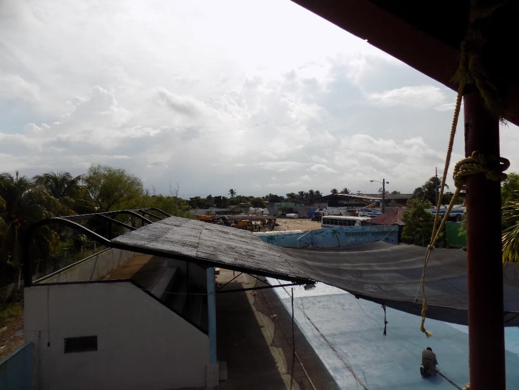 image-7