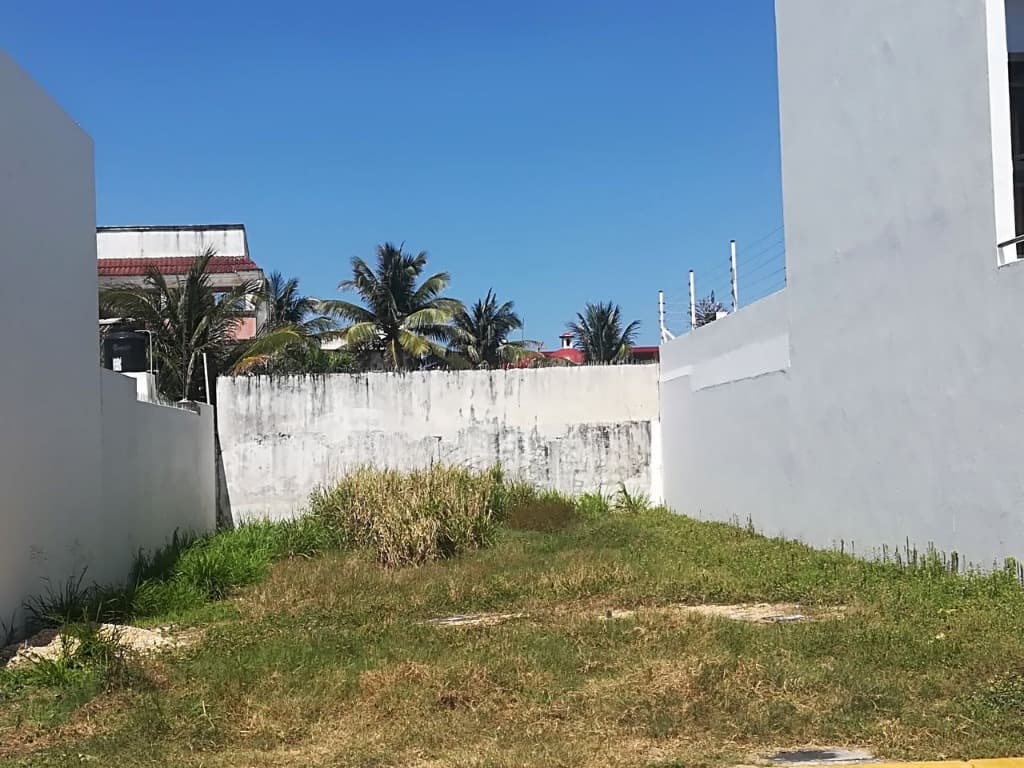 image-3