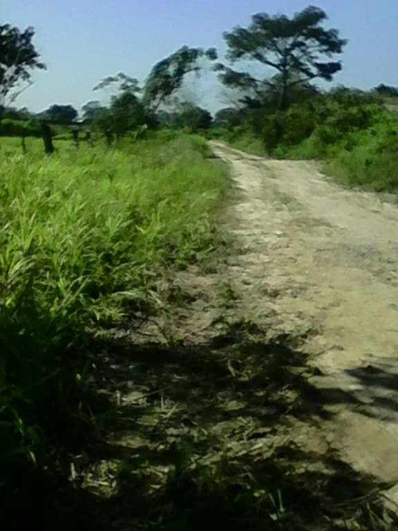 image-18