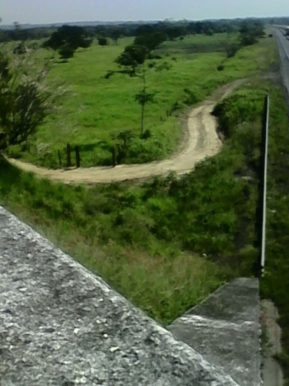 image-23