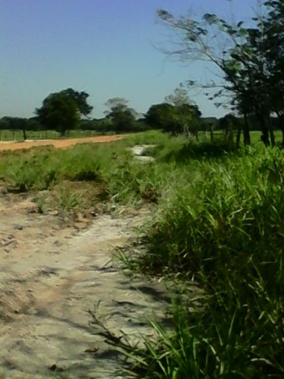 image-19