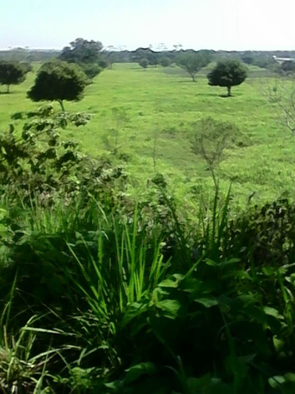 image-20
