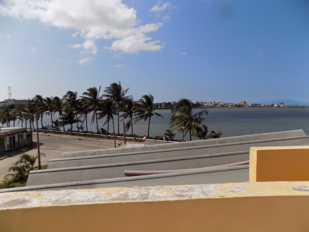image-19