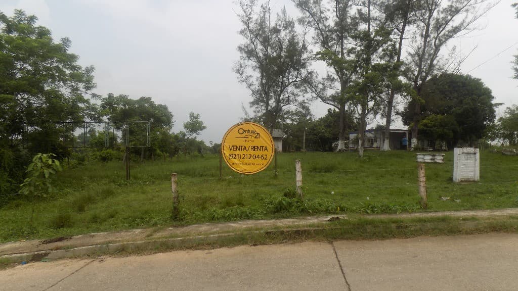 image-0