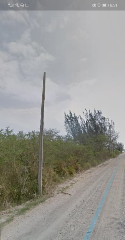 image-0