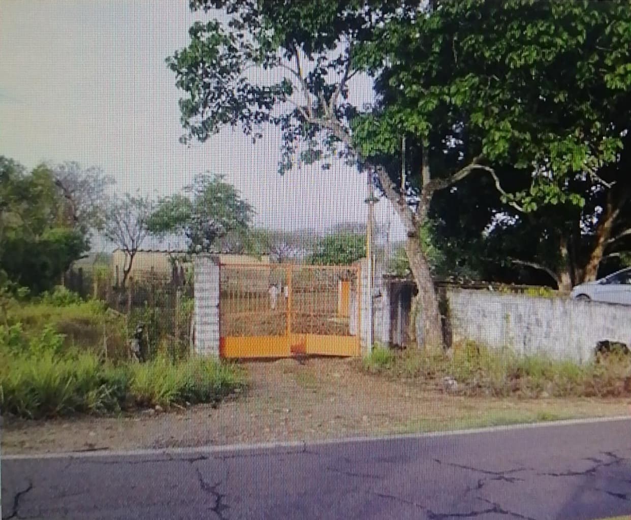 image-0