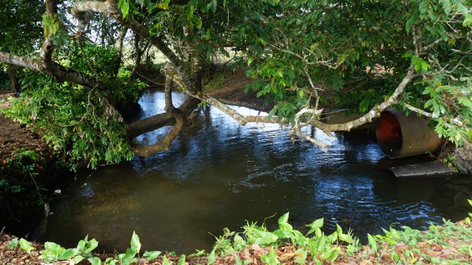 image-9