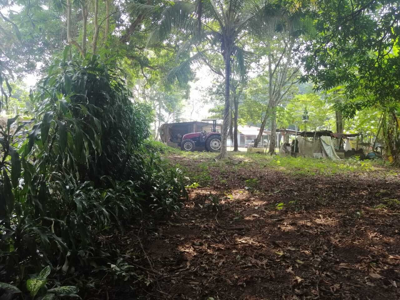 image-14