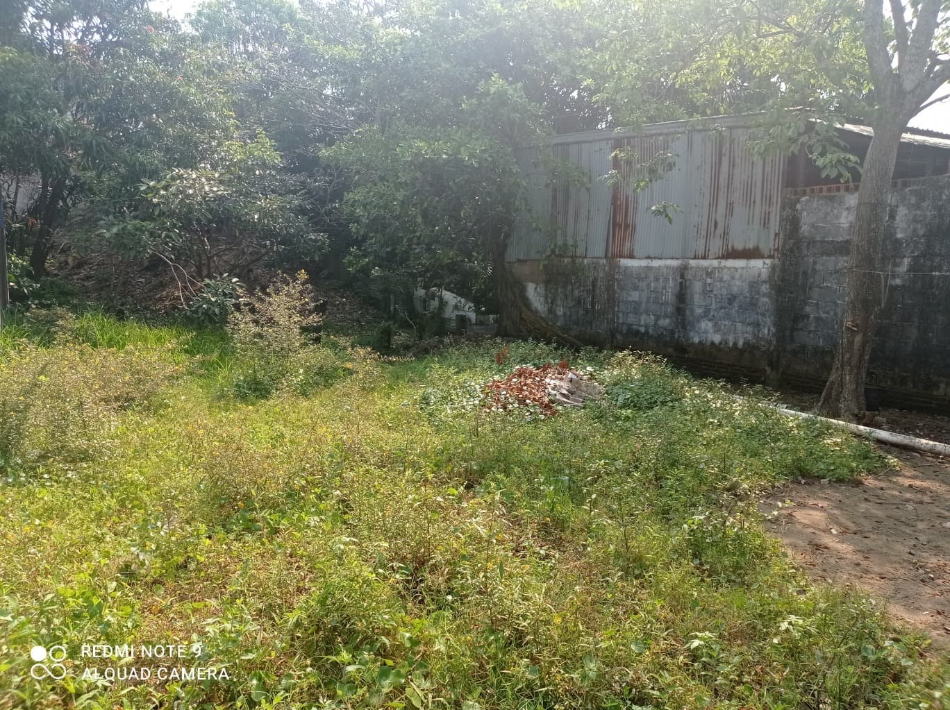 image-10