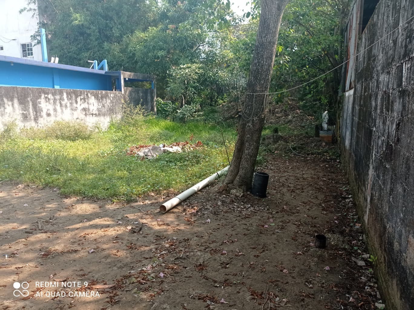 image-9
