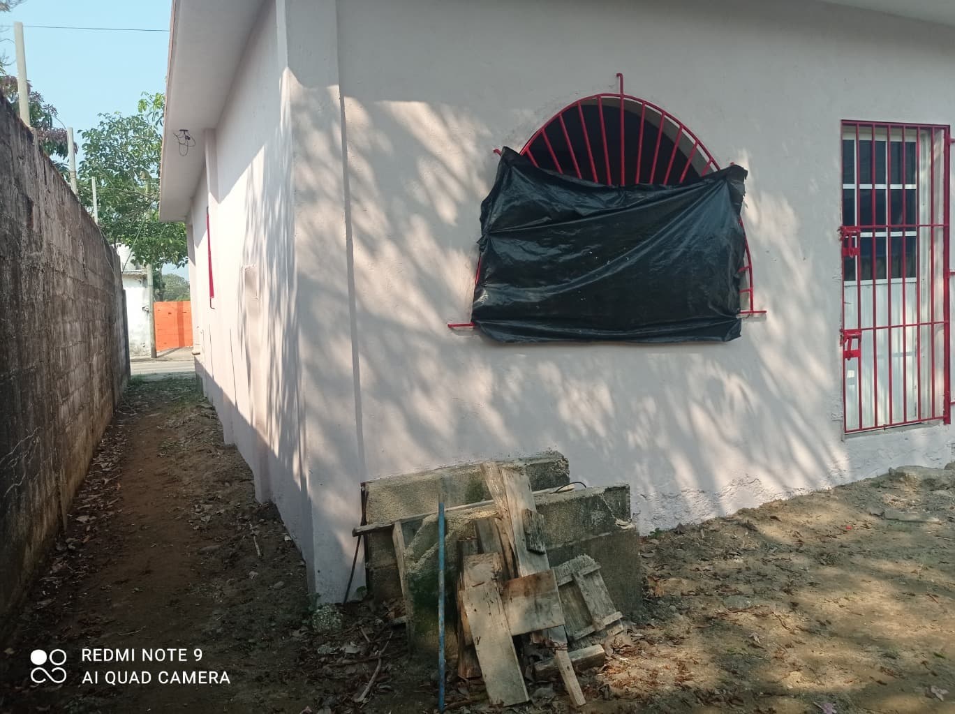 image-7
