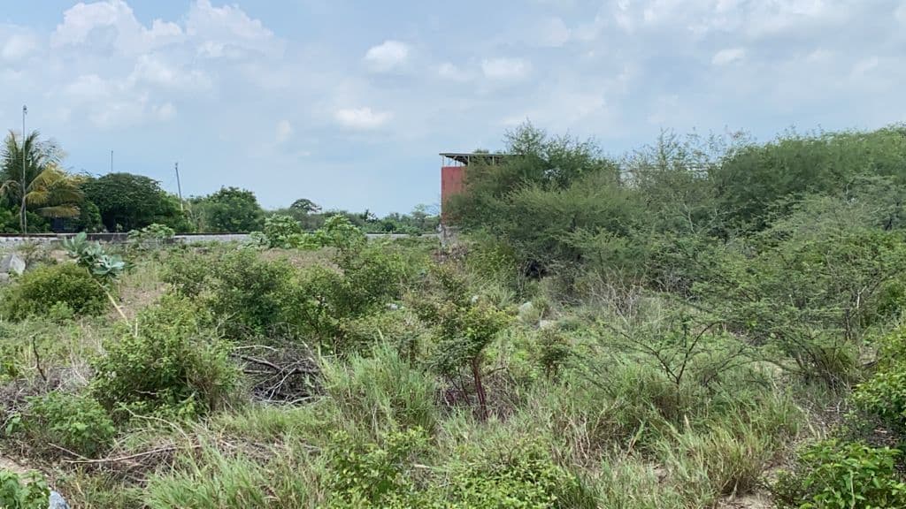 image-6