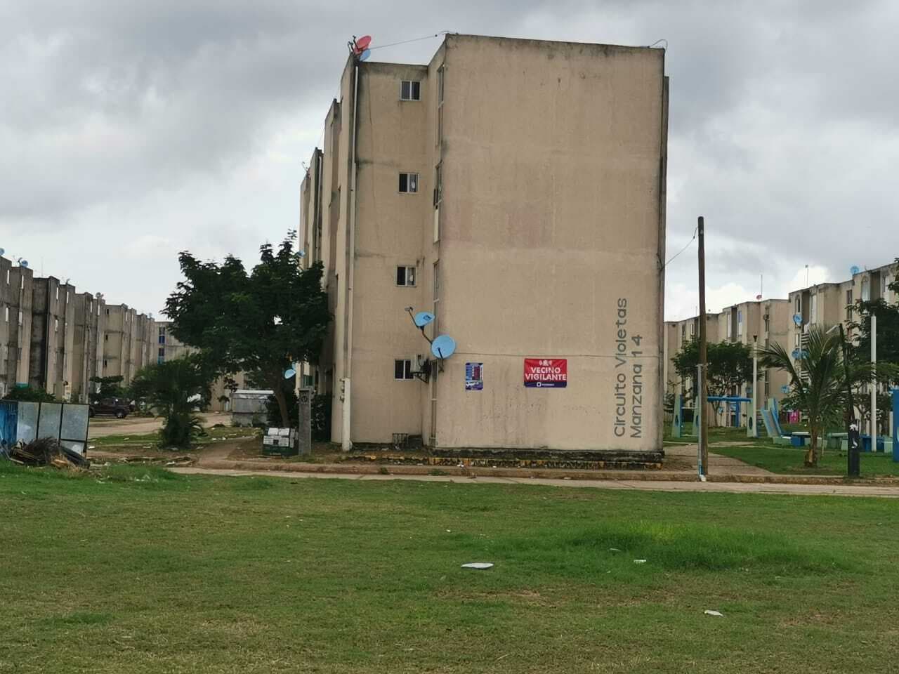 image-5