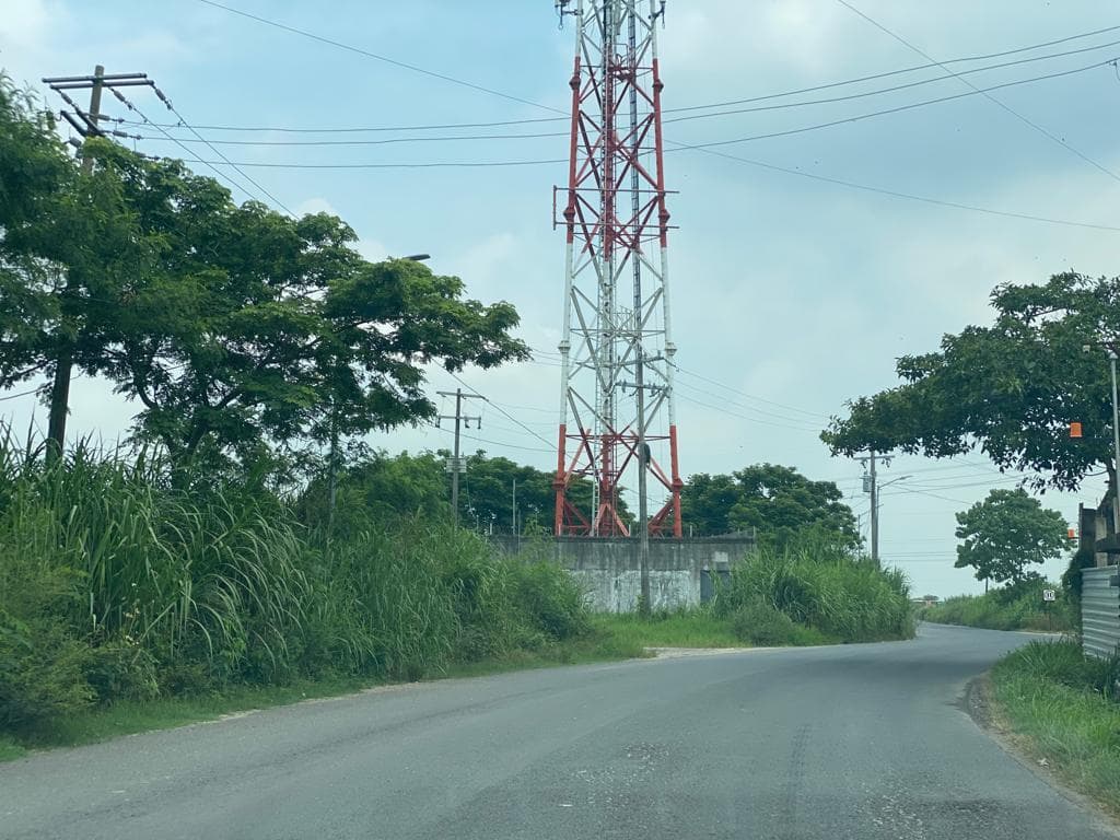image-4