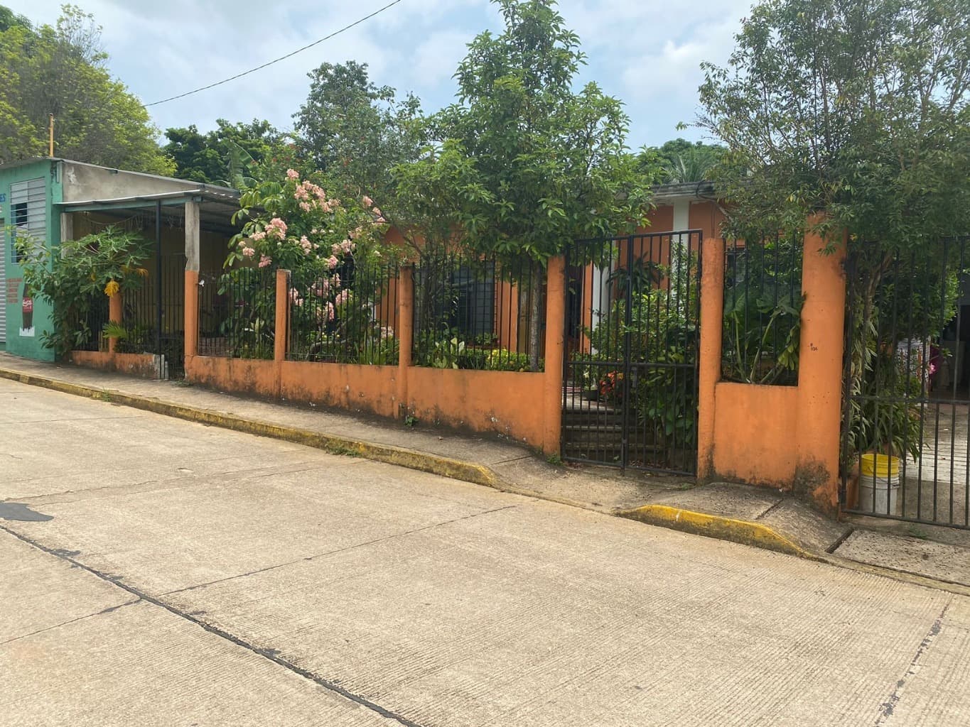 image-1