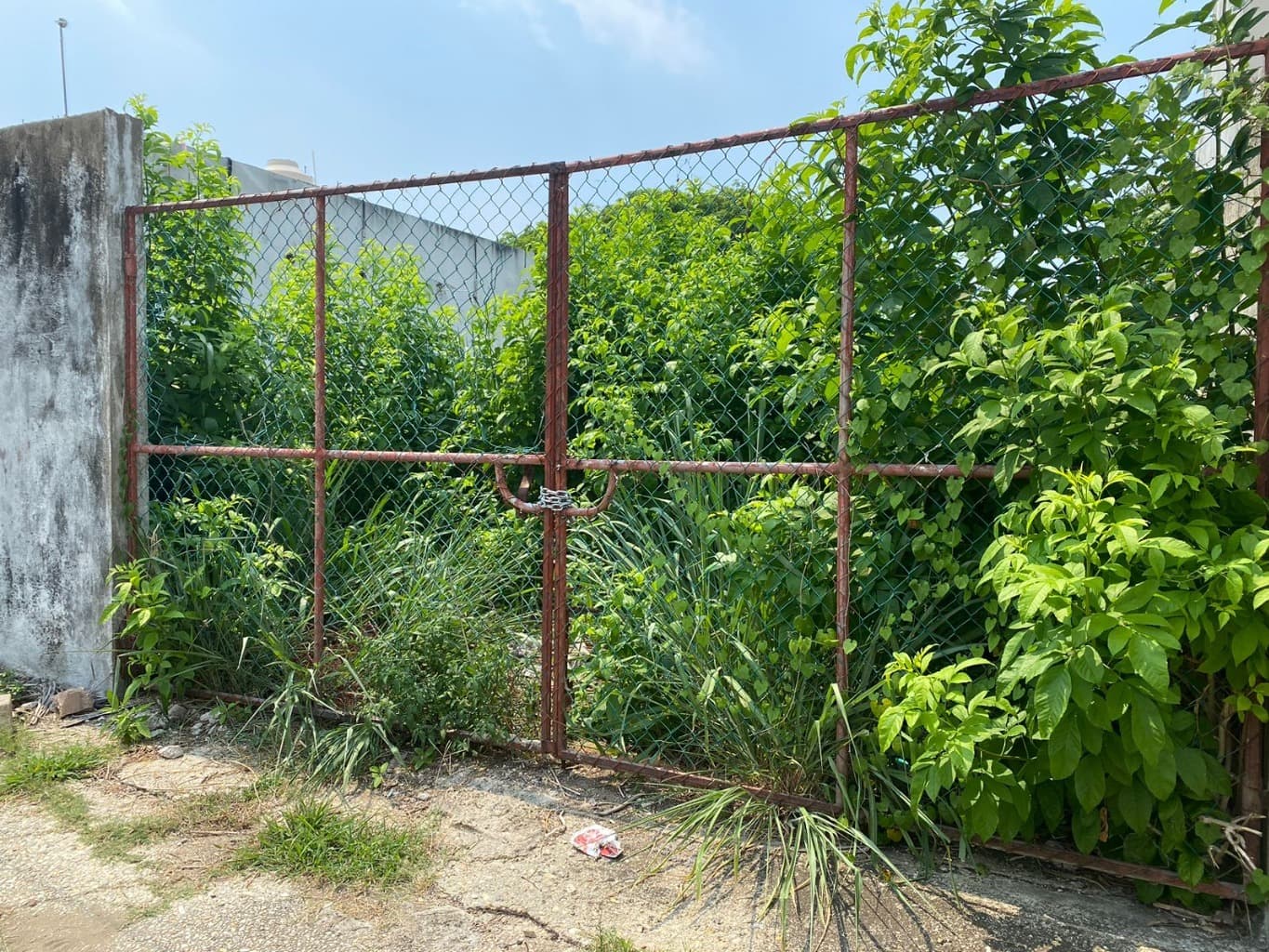 image-3