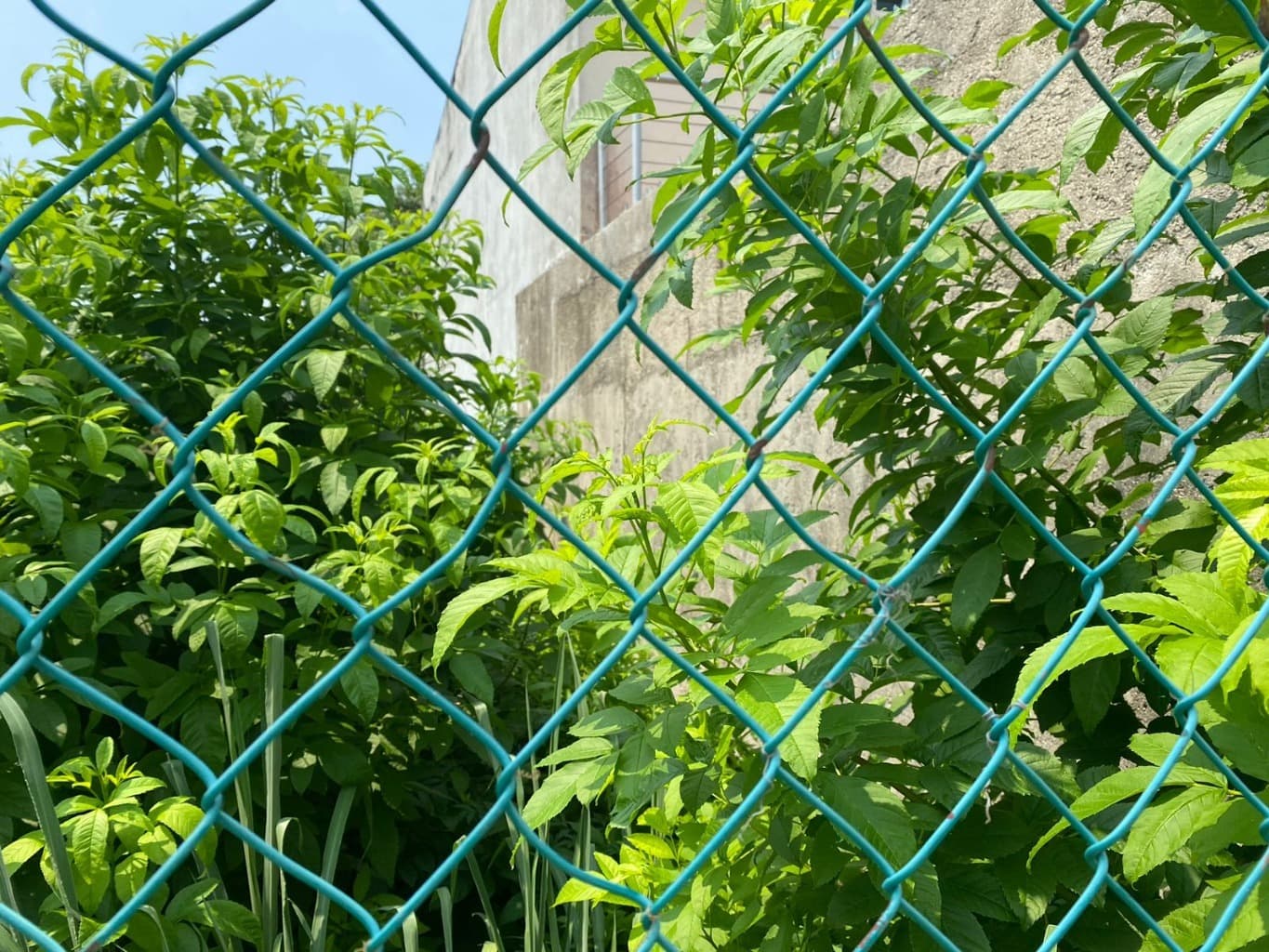 image-8