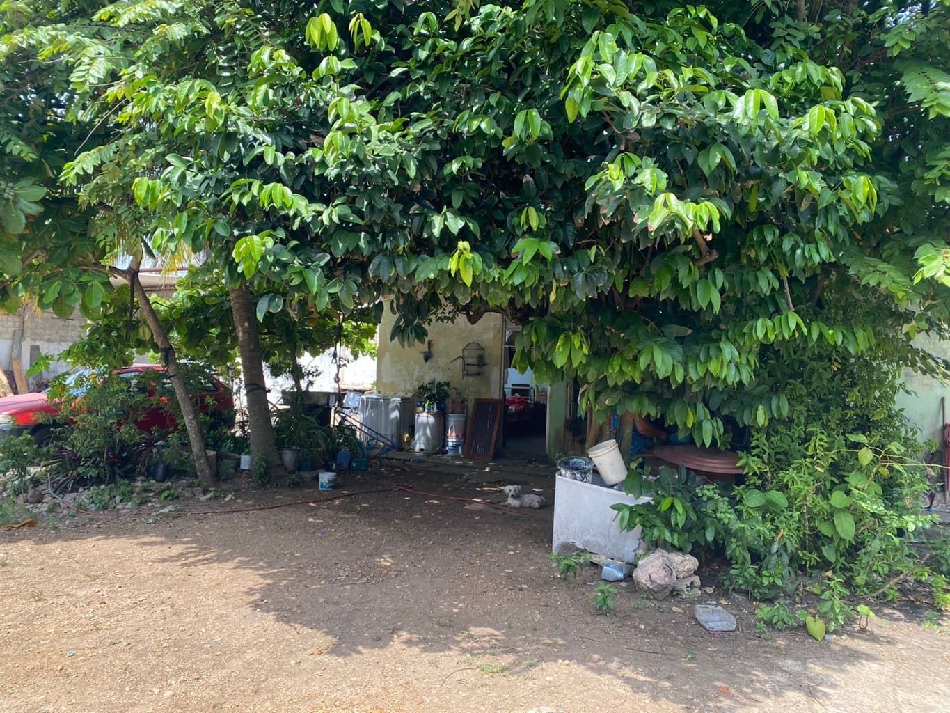 image-6