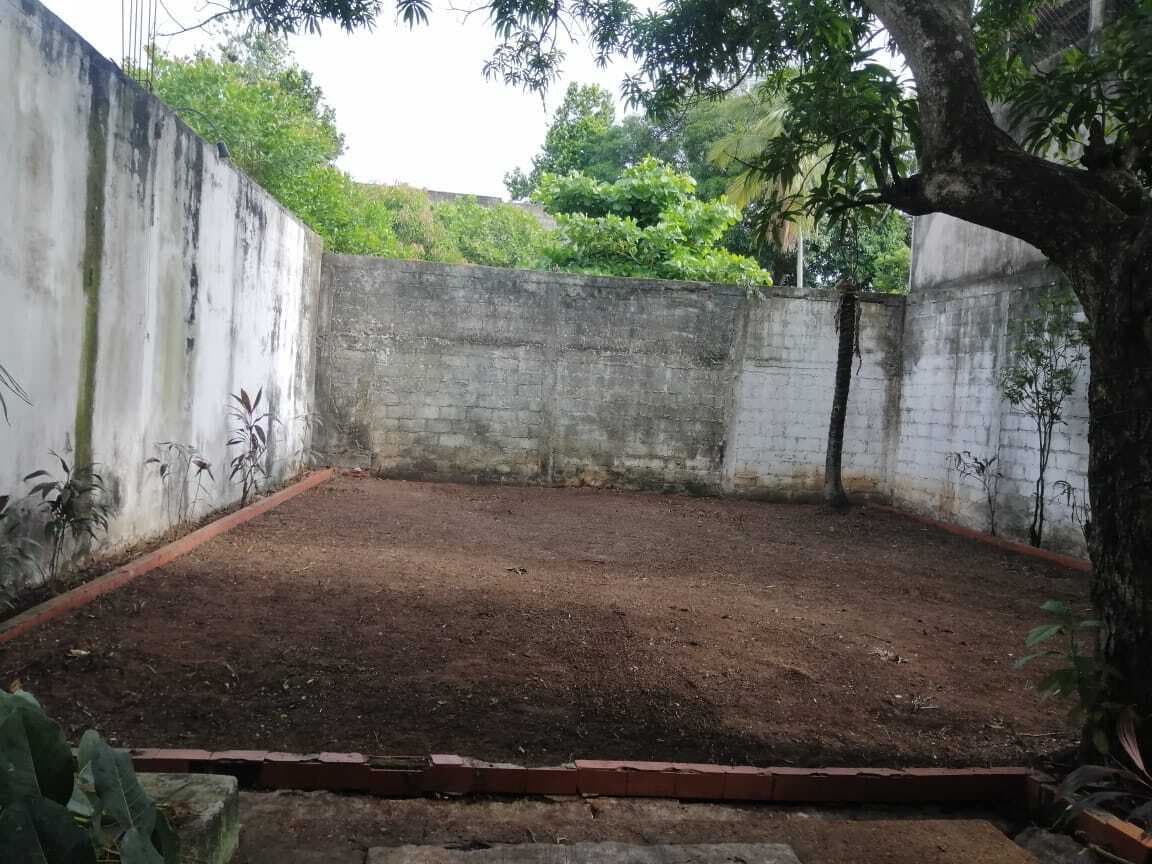 image-24