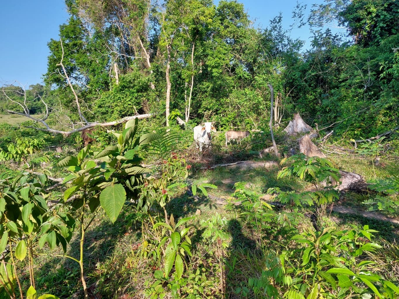 image-9