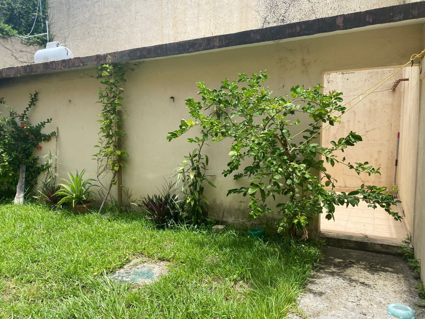 image-16