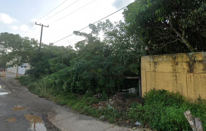 image-2